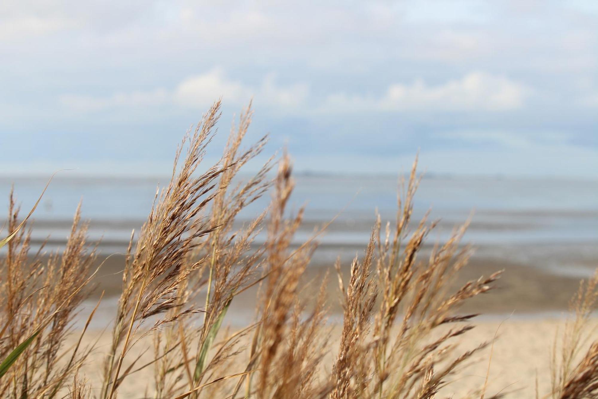 Steffis-Strand-Schule Cuxhaven Exterior foto