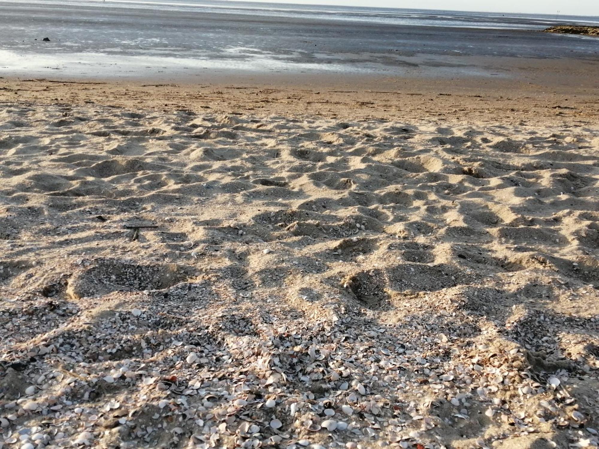 Steffis-Strand-Schule Cuxhaven Exterior foto